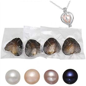 Lot de 4 huîtres rondes en perles d'eau douce de différentes couleurs brillantes et significatives