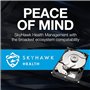 Seagate Skyhawk ST2000VX015 Disque Dur de Surveillance 3,5" SATA 6 Go/s/256 Mo 2 to