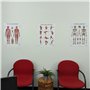 Anatomy Lab Lot de 3 affiches d'anatomie étirement, musculaire et squelettique – Laminé – Poster de fitness haute résolution, 43