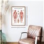 Anatomy Lab Lot de 3 affiches d'anatomie étirement, musculaire et squelettique – Laminé – Poster de fitness haute résolution, 43