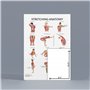 Anatomy Lab Lot de 3 affiches d'anatomie étirement, musculaire et squelettique – Laminé – Poster de fitness haute résolution, 43
