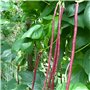 pour le jardinage en extérieur
