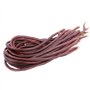 Semence de haricots chinois (lot de 45), sans OGM, pour le jardinage en extérieur, à la maison, sur des treillis et poteaux