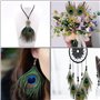 20 Plumes de Paon Naturelles, Plumes de Paon de Couleur Primaire Naturelle, 25 Cm de Long, Peuvent Être Utilisées pour la Décora