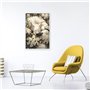 DCIDBEI 40x50CM DIY Rond Diamond Painting Chat Blanc en Fleurs, Tableau Diamant Animaux, Kits Broderie Point de Croix Diamant De