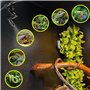 Bacxzomx Brumisateur Terrarium Automatique, Humidificateur Terrarium avec Minuterie et Arroseur de Brouillard Réglables 360°, Sy