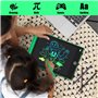 Jomdjmskes 2 Pièces Tablette Dessin Enfant, 10 Pouces Tablette d'Écriture Colorée, Tablettes Graphiques avec Fonction de Verroui