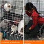 Generic Niches pour chat - Cage pour chat - Grande cage à 2/3/4/5 niveaux - Cage pour chat en fil métallique - Maison pour petit