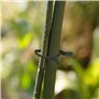 KAHEIGN 200 Pièces Clips De Vigne Végétale, 2 Taille Clips De Support pour Plantes Clips De Fixation De Vigne pour Support De Ti