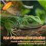 Ampoule chauffante sans lumière pour tortue