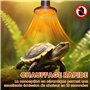 lampe chauffante terrarium p