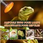 TobeBright 150W lampe chauffante poussin en céramique, Ampoule chauffante sans lumière pour tortue, lampe chauffante terrarium p