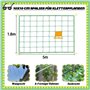 Tomates Et Plantes Grimpantes