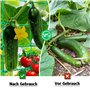 LUMOOM Treillis Solide pour Concombres, Tomates Et Plantes Grimpantes, Grillage de Jardin Renforcé avec Mailles de 10cm, Support