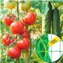 LUMOOM Treillis Solide pour Concombres, Tomates Et Plantes Grimpantes, Grillage de Jardin Renforcé avec Mailles de 10cm, Support