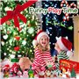 Chennyfun Calendrier de l'Avent de Noël 2024, Compte à Rebours Noël avec 24 Peluche Mignonnes, Jouets Suspendus avec Animaux en 