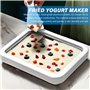 WIYETY Plaque à glace pour faire des glaçons, machine à crème glacée roulée avec 2 spatules - Rouleaux à glace avec brosse de ne