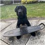 Ridge Retro 27 Skateboard complet Noir/Transparent 27'' x 7,5'' - 69 cm