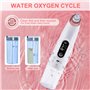 kit d'extraction de comédons rechargeable p