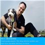 FIBOUND 4 Sifflets pour Chiens Professionnels, Sifflets D'entraînement pour Chiens, Sifflets en Plastique à Haute Fréquence, ave