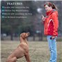 FIBOUND 4 Sifflets pour Chiens Professionnels, Sifflets D'entraînement pour Chiens, Sifflets en Plastique à Haute Fréquence, ave