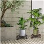 Support de Plante En Pot de Fer, 9.1*2.6inch Support à Fleurs en Fer Forgé, Supports Pour Plantes, Support à Fleurs Rond, pour J