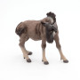 Papo - Figurine animal - Gnou, animaux de la savane, Jouet enfant dès 3 Ans - Aventure dans l'Écosystème Sauvage