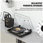 Tourne-disque vinyle avec connectivité Bluetooth, sortie numérique USB, cartouche magnétique et contrepoids réglable, AT-3600L, 