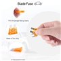 assortiment de fusibles pour camions