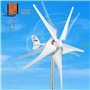 VEVOR Générateur de turbine éolienne 300 W - 12 V - Contrôleur MPPT électrique - 13 m/s - Avec régulateur de charge à 5 feuilles