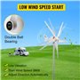 VEVOR Générateur de turbine éolienne 300 W - 12 V - Contrôleur MPPT électrique - 13 m/s - Avec régulateur de charge à 5 feuilles