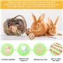 Vegena Lot de 10 boules à mâcher Cochon d'Inde - Petits animaux à mâcher - Balles naturelles avec bâtonnets de branche de pomme 