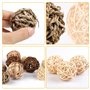 Vegena Lot de 10 boules à mâcher Cochon d'Inde - Petits animaux à mâcher - Balles naturelles avec bâtonnets de branche de pomme 