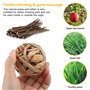 Vegena Lot de 10 boules à mâcher Cochon d'Inde - Petits animaux à mâcher - Balles naturelles avec bâtonnets de branche de pomme 
