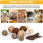 Vegena Lot de 10 boules à mâcher Cochon d'Inde - Petits animaux à mâcher - Balles naturelles avec bâtonnets de branche de pomme 