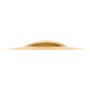 Meinl Cymbals HCS Cymbale Big Bell Ride 18 pouces (45,72cm) pour Batterie – Finition Traditionelle en Laiton, fabriquée en Allem