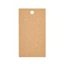 Carton Kraft