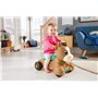 Fisher-Price Trotteur Musical Poney et Porteur évolutif avec Rebond, Sons Uniquement, pour bébés et Tout-Petits, de 9 à 36 Mois,