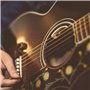 L.R. Baggs Anthem Acoustic Guitar Pickup and Microphone