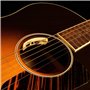 L.R. Baggs Anthem Acoustic Guitar Pickup and Microphone