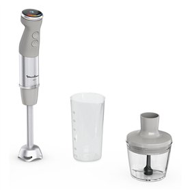 Mixeur plongeant Moulinex DD672B Acier 1000 W