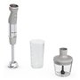 Mixeur plongeant Moulinex DD672B Acier 1000 W