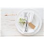 ALBERT DE THIERS 911900 Ondes MENAGERE INOX 24 Pieces Ondes Acier Inoxydable Argenté 16,5x7x26 cm