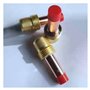 RCBCPLGLNK Accessoires de soudage Consommables de la Torche de Soudure 1.0/1.6/2.0/2.4/3.2/4. 0mm Lentille for gaz Moyenne WP 17