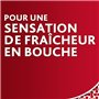 Parodontax Dentifrice Soin Quotidien, Action Anti-Tartre, Aide à Arrêter et Prévenir Le Saignement Des Gencives, Goût Amélioré, 