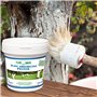 PELTON FERTILIGENE PBLAN1N - Soin des Arbres Blanc Arboricole seau 1 L - Prêt à l'emploi et naturel - Protège les arbres - Barri