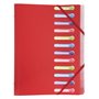 Exacompta - Réf. 55180E - 1 trieur Opak - 3 rabats - avec élastiques et fenêtres découpées - couverture et intérieur en PP - 12 