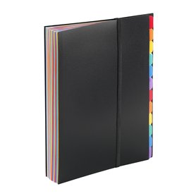 Viquel Rainbow Class - Trieur 36 positions - Pochette extensible pour classer et transporter des documents - Trieur accordéon po