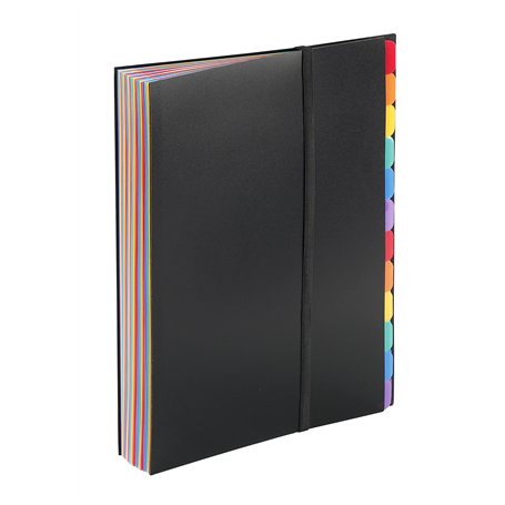Viquel Rainbow Class - Trieur 36 positions - Pochette extensible pour classer et transporter des documents - Trieur accordéon po