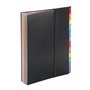 Viquel Rainbow Class - Trieur 36 positions - Pochette extensible pour classer et transporter des documents - Trieur accordéon po